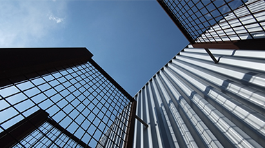 紅松苗的生長速度與哪些因素密切相關(guān)